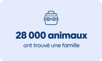 30 000 animaux ont été stérilisés