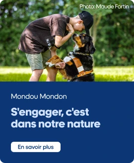 28 000 animaux ont trouvé une famille