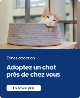 Zone adoption