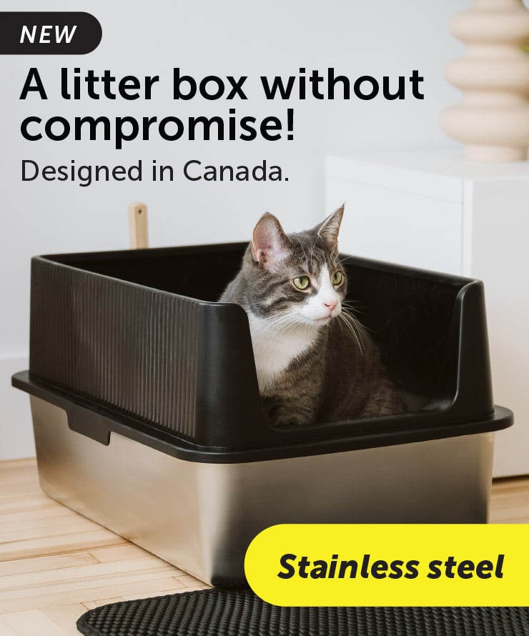 Large Stainless Steel Litter Box