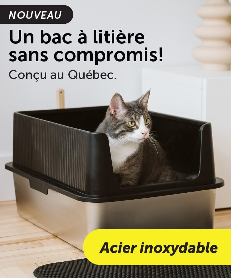 BeoneBreed - Bac à litière en acier inoxydable