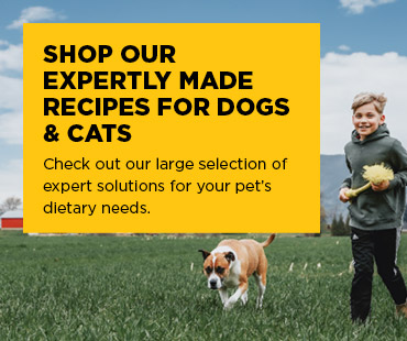 Shop our expertly made recipes for dogs & cats