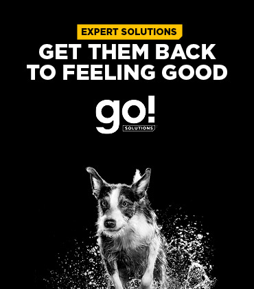 Go Solution - Get them back to feeling good