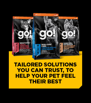 Go Solution - Tailored solutions you can trust, to help your pet feel their best