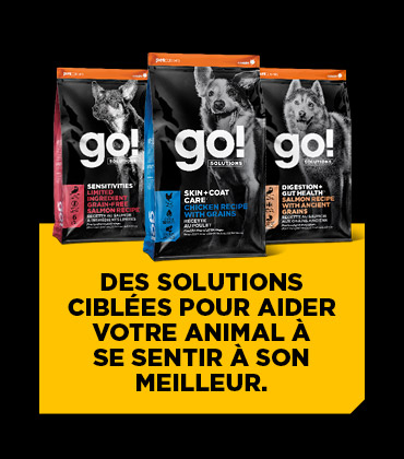 Go Solution - Des solutions ciblées pour aider votre animal à se sentir à son meilleur.