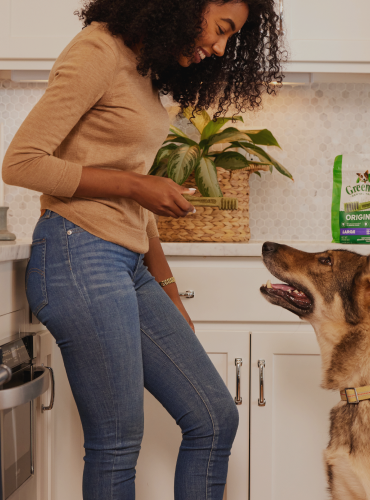 Friandises dentaires Greenies pour chien