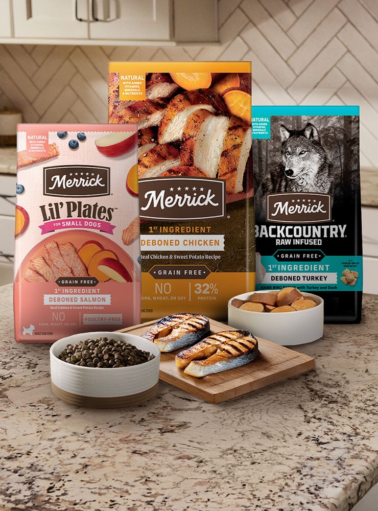 Dry Dog Food