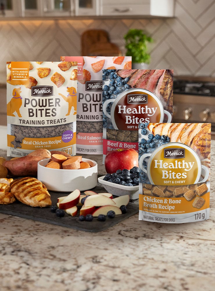 Dog Treats