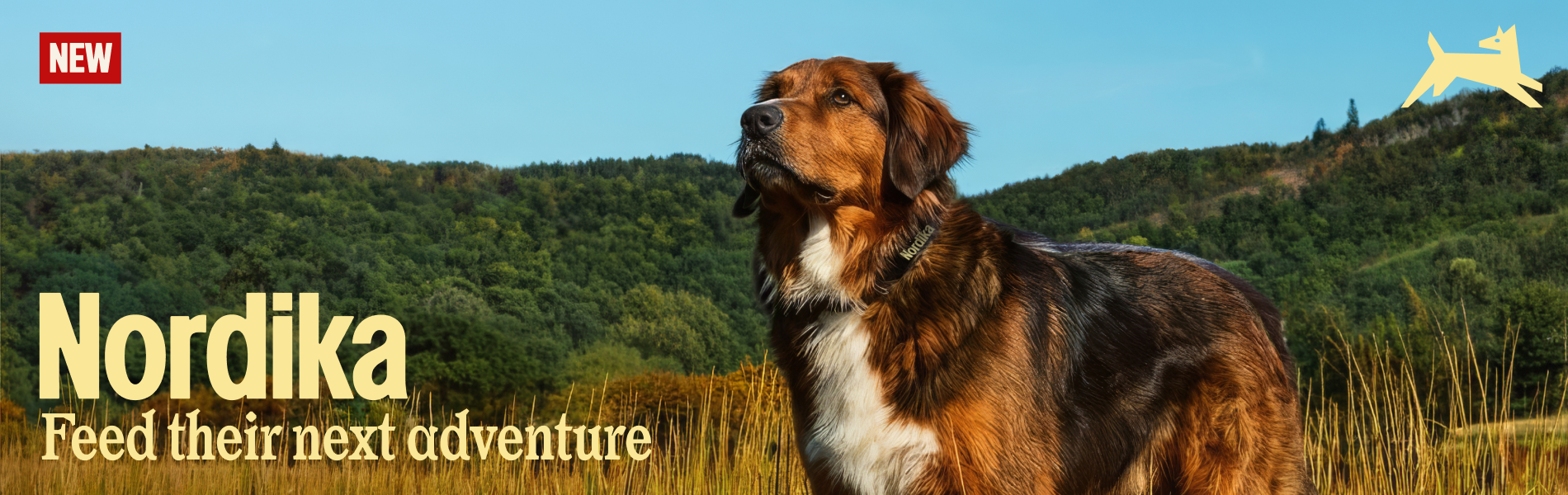 Nordika - Feed their adventures