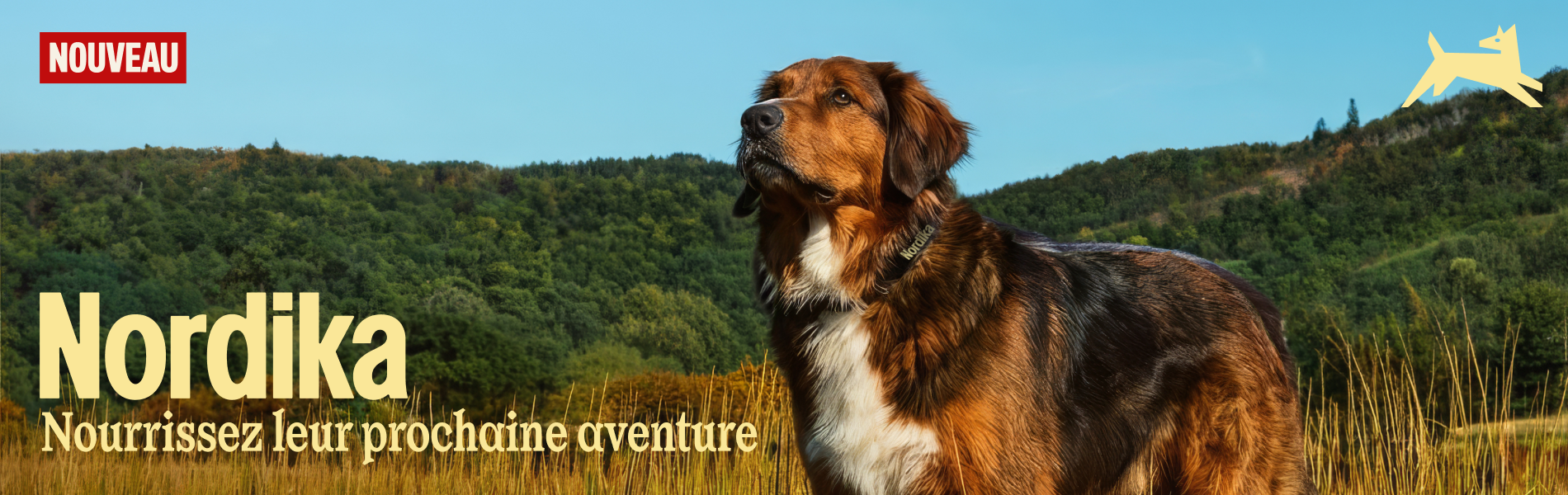 Nordika - Nourrissez leurs aventures