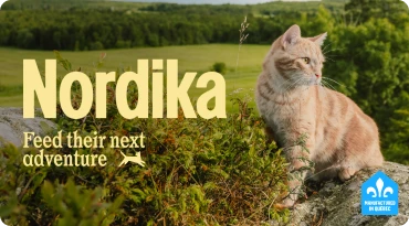 Nordika - Feed their adventures