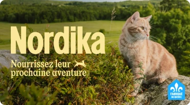 Nordika - Nourrissez leurs aventures