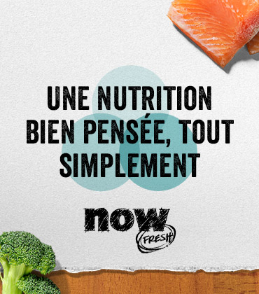 Now Fresh - Une nutrition bien pensée, tout simplement