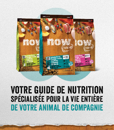 Now Fresh - Votre guide de nutrition spécialisée pour la vie entière de votre animal de compagnie