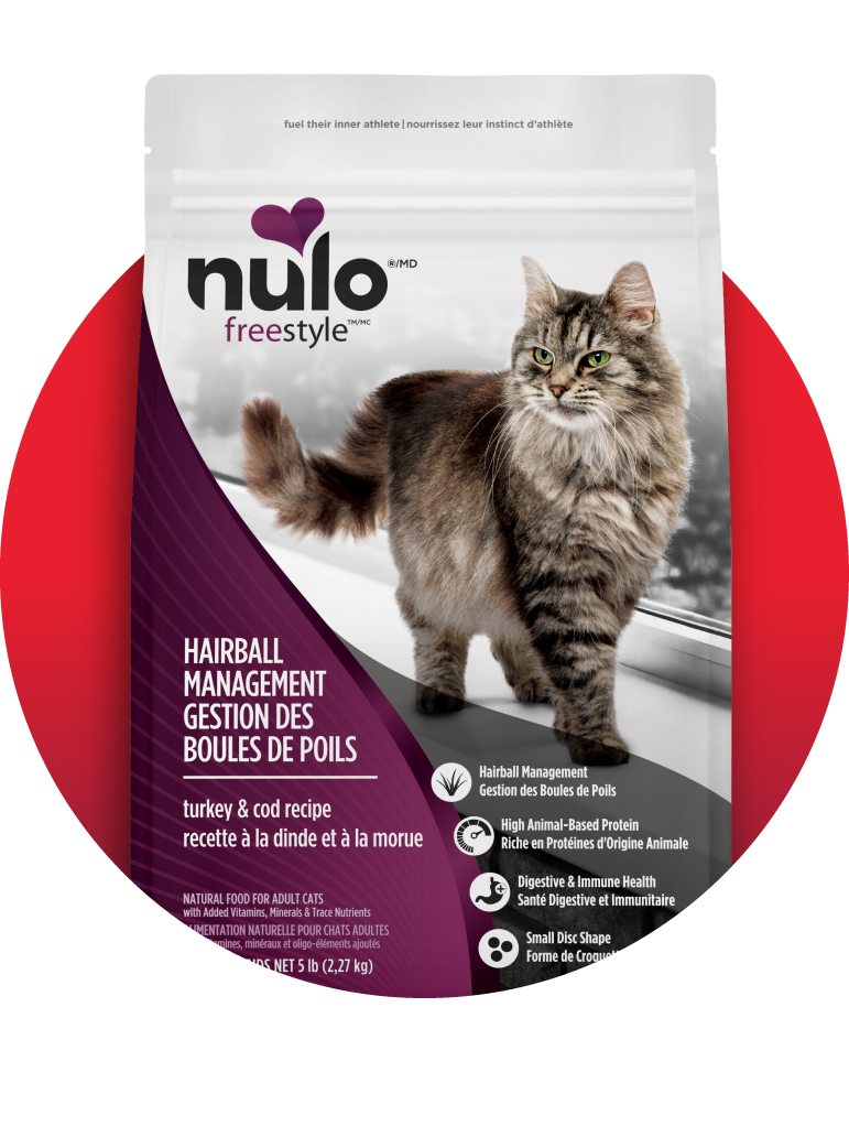 Nourriture sèche pour chats Nulo