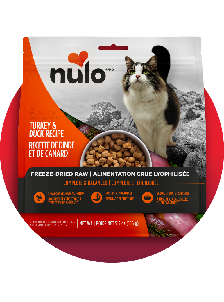 Nourriture crue lyophilisée pour chats Nulo