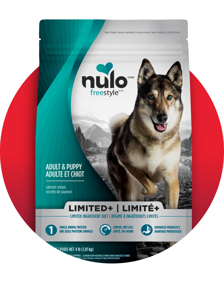 Nourriture sèche pour chiens - Nulo