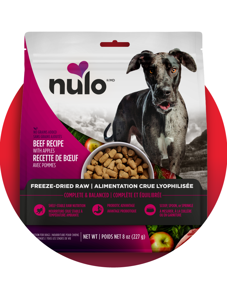 Nourriture crue lyophilisée pour chiens - Nulo