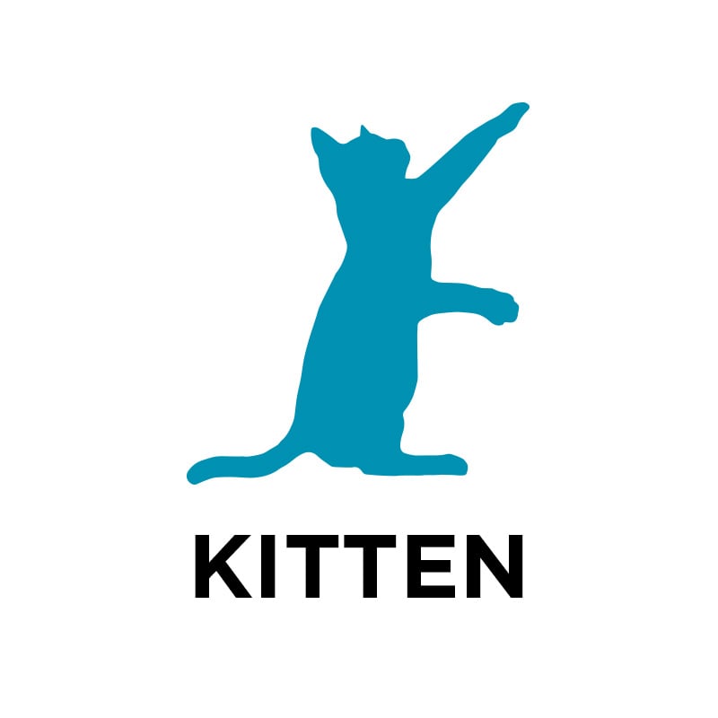 Shop All Kitten Recipes