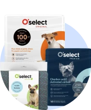 Tapis de propreté pour chien