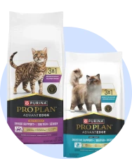 AdvantEDGE pour chat