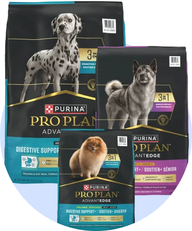 AdvantEDGE dog food