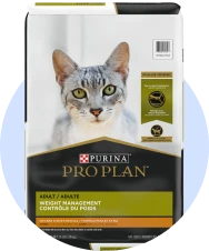 Contrôle du poids pour chat