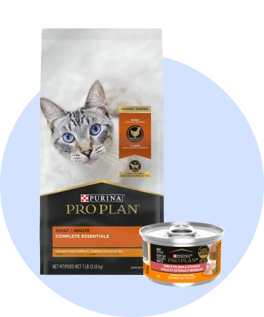 Nourriture pour chat