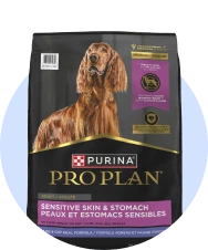 Sensitive skin and stomach dog food