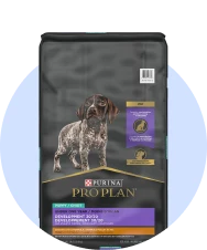 Pro Plan Sport pour chiot