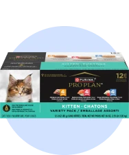 Nourriture humide pour chaton