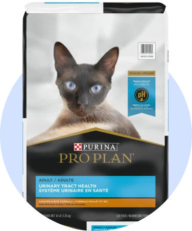 Santé urinaire pour chat