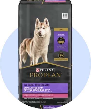 Pro Plan Sport pour chien