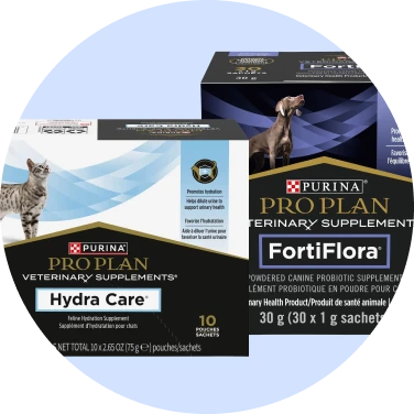 Veterinary Supplements