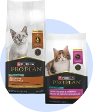 Nourriture sèche pour chat