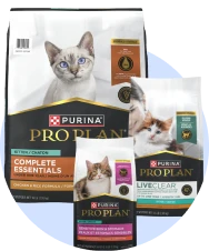 Nourriture sèche pour chaton