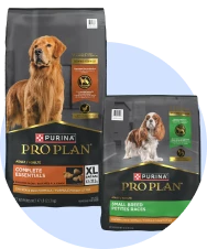 Dry dog food
