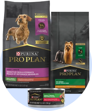 Small breed dog food