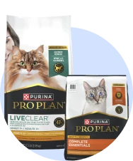 Nourriture senior pour chat