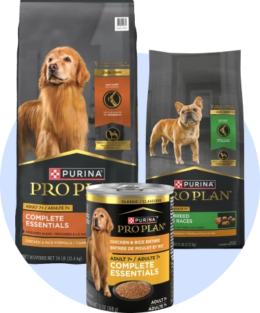 Senior dog food