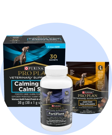 Veterinary Supplements for dogs