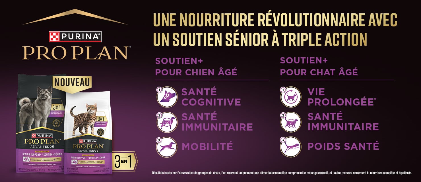 Pro Plan AdvantEdge pour Senior