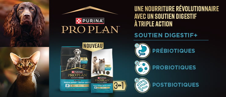 Pro Plan AdvantEdge soutine digestif