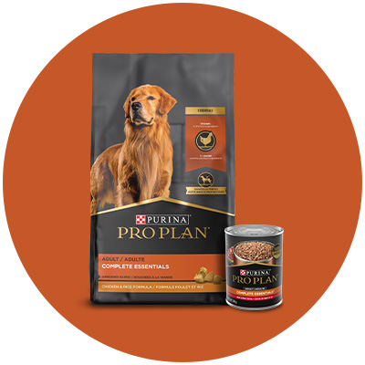 Shop Purina Pro Plan for adult dog