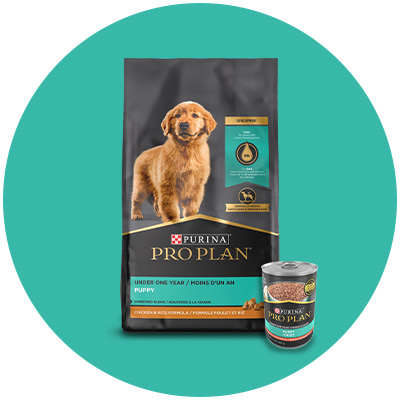 Shop Purina Pro Plan for puppy