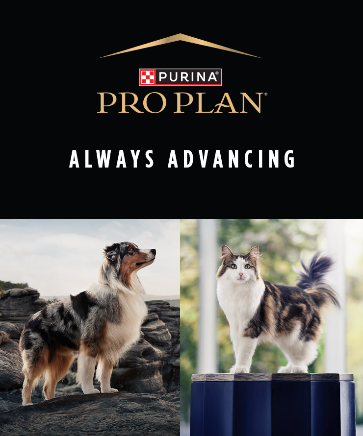 Pro Plan offers cats and dogs dry and wet food lines adapted to their unique needs and life stages. Available online and in store.
