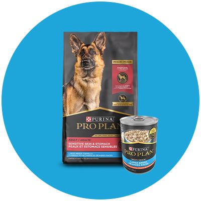 Shop Purina Pro Plan by dog breed size.