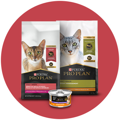 Shop Specialized Purina Pro Plan cat food