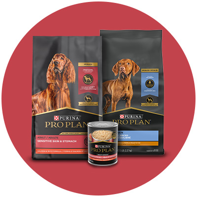 Shop Specialized Purina Pro Plan food for dog