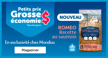 Romeo - Recette au saumon